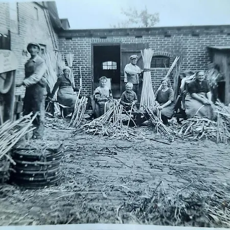 Deichschaf Neuendorf bei Elmshorn