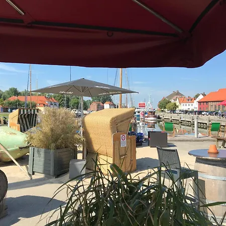 Deichschaf Neuendorf bei Elmshorn