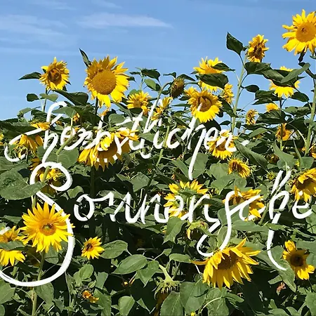 Lägenhet Deichschaf