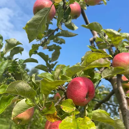 Lägenhet Deichschaf Neuendorf bei Elmshorn
