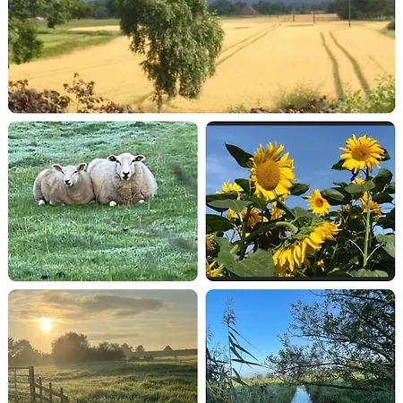 Lägenhet Deichschaf