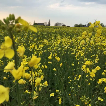 Deichschaf Lägenhet *