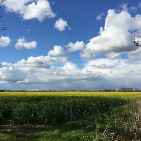 Deichschaf شقة