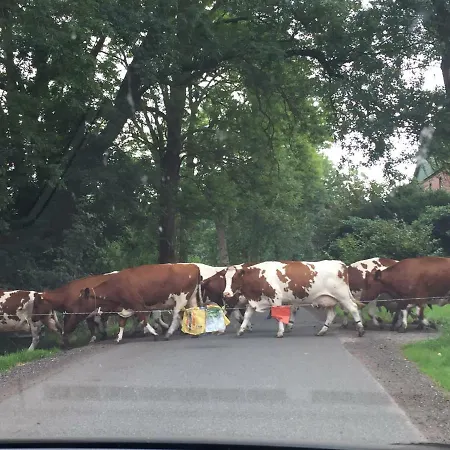 Lägenhet Deichschaf Neuendorf bei Elmshorn