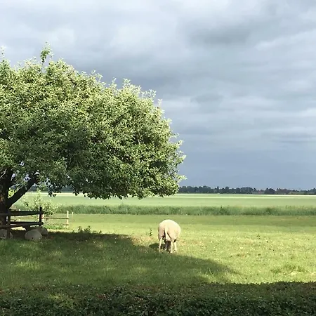 Deichschaf Lägenhet