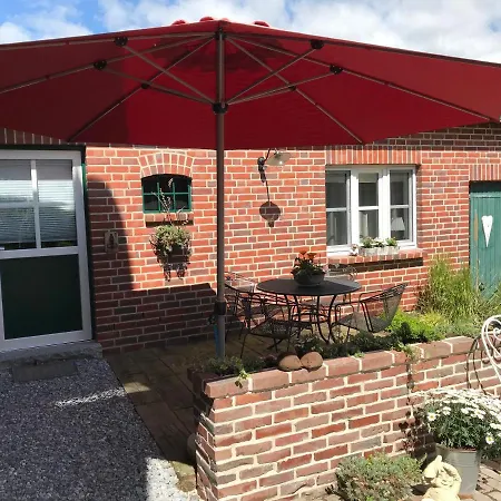 Deichschaf Neuendorf bei Elmshorn